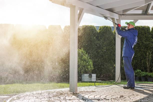 Best Fence Cleaning and Maintenance in Lower Lake, CA