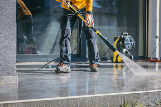 Best Soft Washing for Delicate Surfaces in Lower Lake, CA